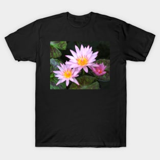 Water Lilies By The Harbour T-Shirt